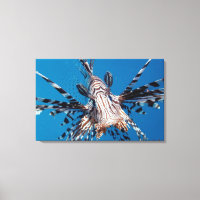 Poisson rouge 2