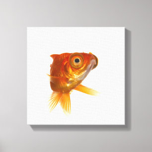 Toile Poisson rouge avec les grands yeux 3