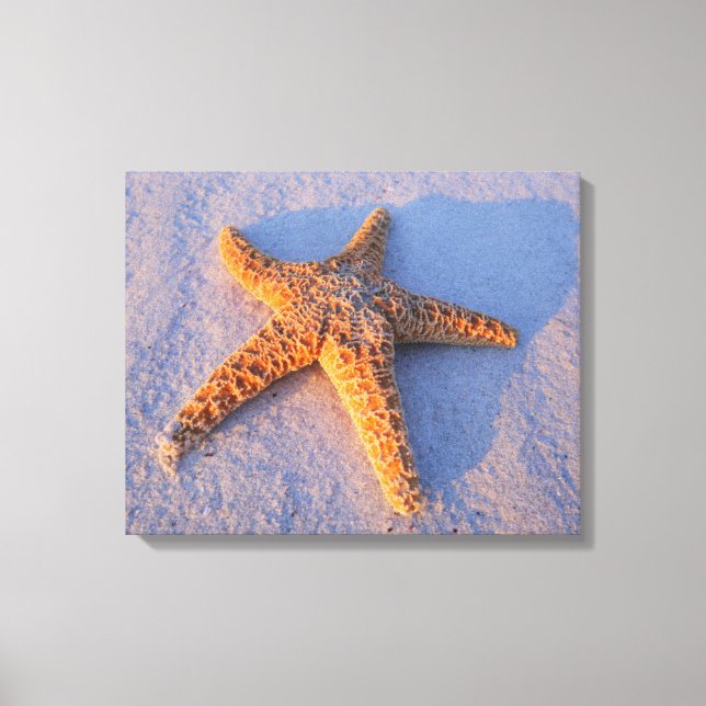 Toile Poisson Sur Sable Blanc (Recto)