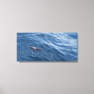 Toile Poisson Volant