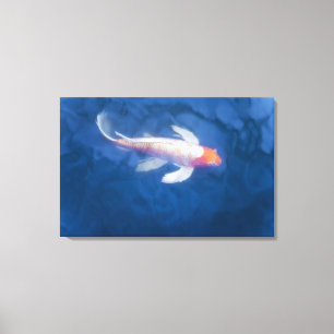 Toile Poissons japonais de koi dans l'étang, vue courbe