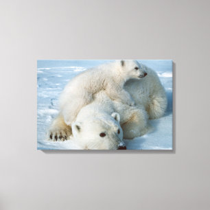 Toile Polaire_Ours_avec_Cub