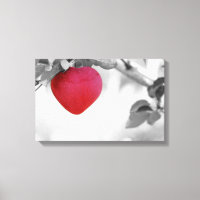 Pomme en forme de coeur rouge dramatique