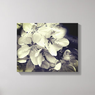 Toile Pomme Fleurit Noir Et Blanc