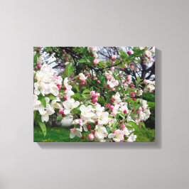 Toile Pommier fleurit.