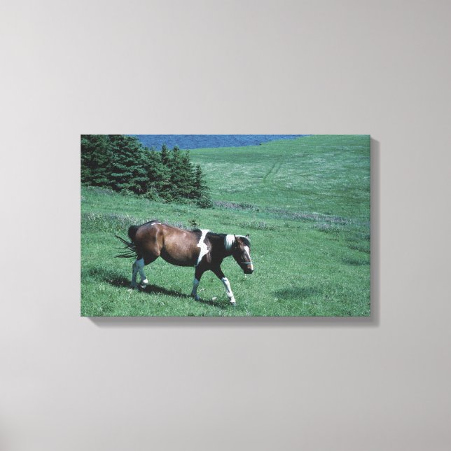 Toile Poney dans les pâturages (Recto)
