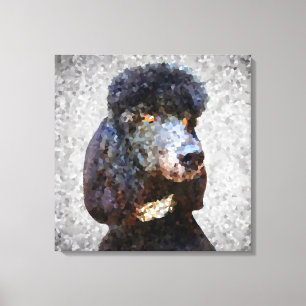 Toile Poodle noir de collier diamant