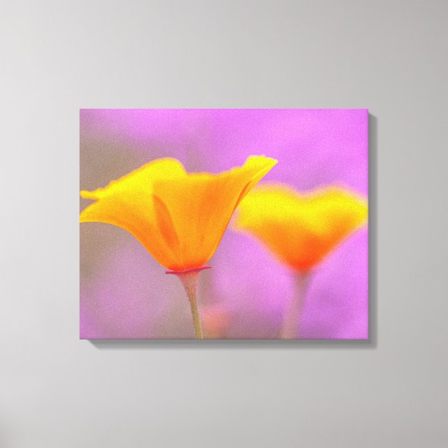 Toile Poppies (Recto)