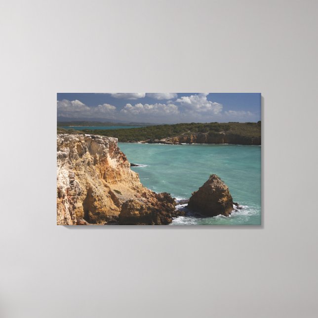 Toile Porto Rico, Côte Ouest, Cabo Rojo, Côte 2 (Recto)