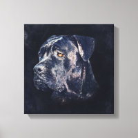 Portrait de Cane Corso