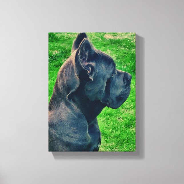Toile Portrait de Cane Corso (Recto)