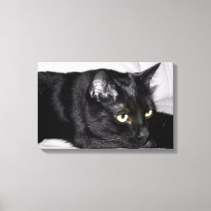 Toile Portrait de chat noir mignon