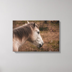 Toile Portrait de cheval