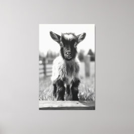 Toile Portrait de chèvre de bébé monochromatique fascina