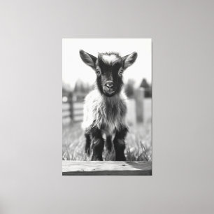 Toile Portrait de chèvre de bébé monochromatique fascina