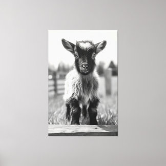 Toile Portrait de chèvre de bébé monochromatique fascina