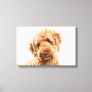 Toile Portrait de Goldendoodle Studio