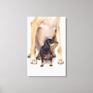 Toile Portrait de great dane et de teckel