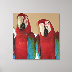 Toile Portrait de mur tropical de couple d'Ara rouge