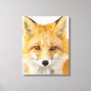Toile Portrait de renard roux