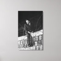 Portrait de Richard Burton