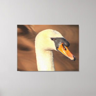 Toile Portrait de tête de cygne tuberculé