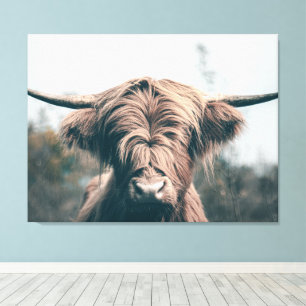Toile Portrait de vache highland