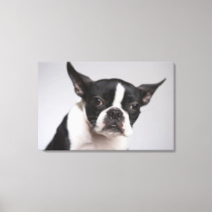 Toile Portrait du chien