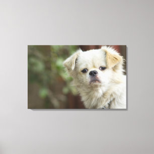 Toile Portrait du chien 5