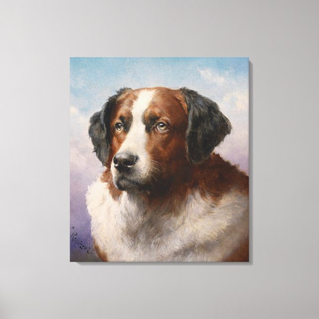 Toile Portrait D'Un Chien De Saint Bernhard (Recto)