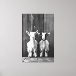 Toile Portrait monochromatique de deux chèvres bébés