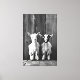 Toile Portrait monochromatique de deux chèvres bébés