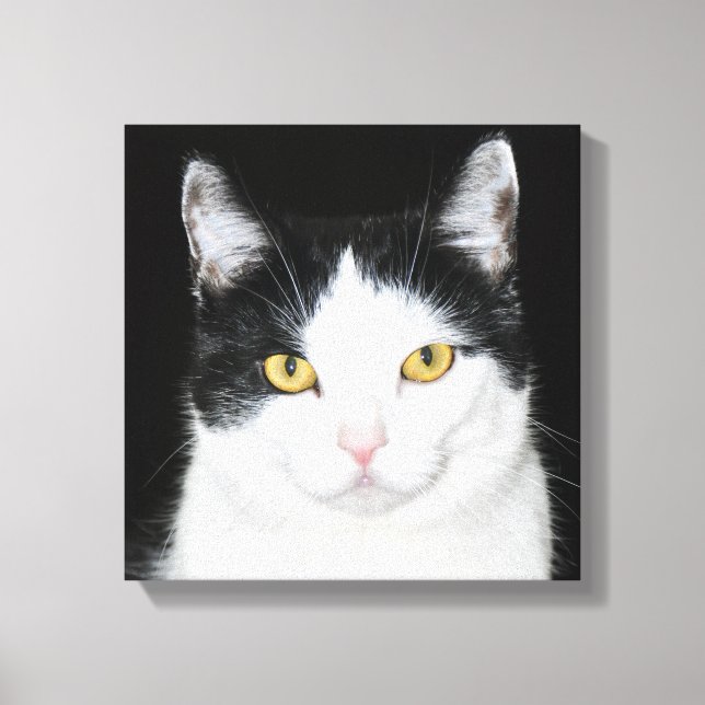 Toile Portrait noir et blanc de chat (Recto)