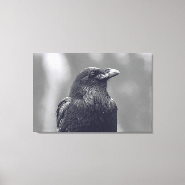 Toile Portrait noir et blanc du corbeau (Recto)