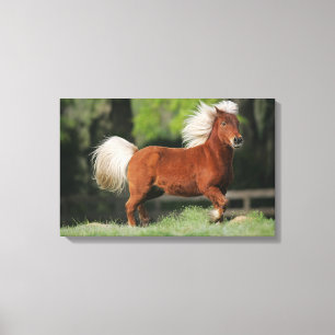 Toile Position miniature de cheval