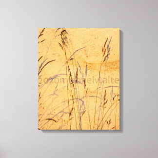 Toile Poster Acrylique Carte Postale Grasses Et Ombres D