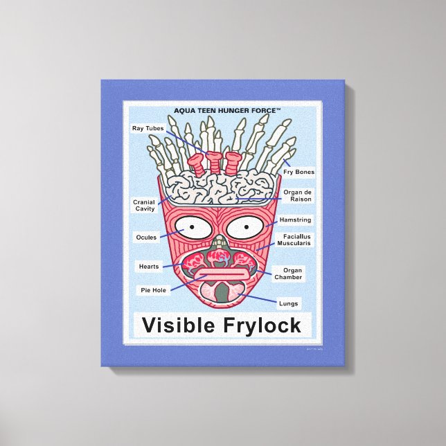 Toile Poster de l'Aqua Ado Hunger Force Visible Frylock (Recto)