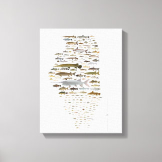 Toile Poster des Poissons de l'Illinois