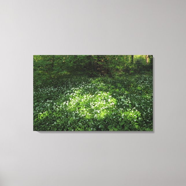 Toile Pot d'ail (Recto)