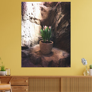 Toile Pot de tulipes dans une Grotte
