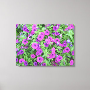 Toile pourpre Petunias