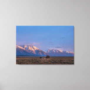 Toile Prairie ouverte sereine de Grand Teton