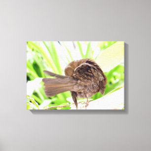 Toile Prédiction d'oiseaux noirs