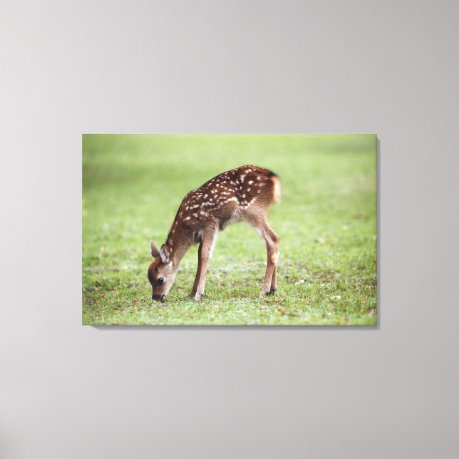 Toile Préfecture de Nara, Honshu, Japon 3 (Recto)