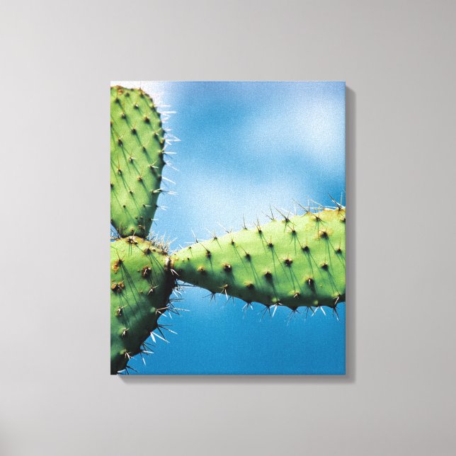 Toile Prickley Cactus (Recto)