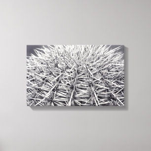 Toile Pricks Cactus Sonoran Desert B&W Photo Art Imprime