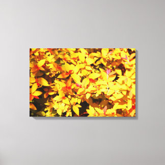 Toile Printemps à l'Arboretum 6