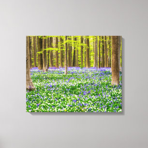Toile Printemps dans la forêt bleue