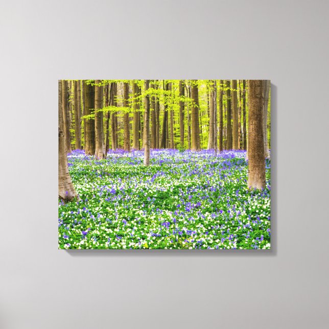 Toile Printemps dans la forêt bleue (Recto)