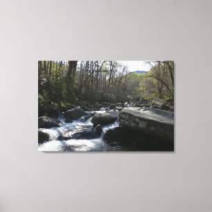 Toile Printemps sur la Little Pigeon River